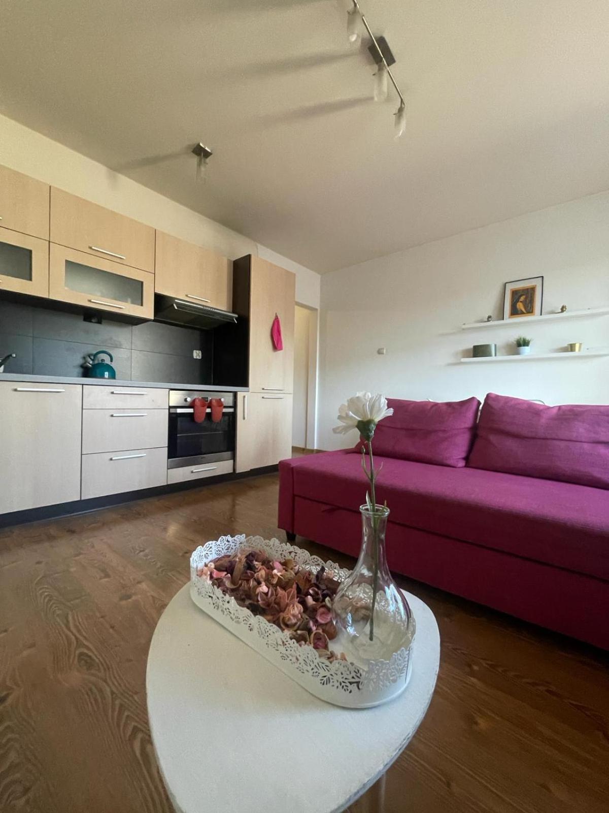 Przystan Dolnych Mlynow Appartement Krakau Buitenkant foto